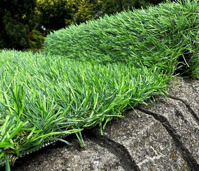 Декоративная трава LANDGRASS 30 1