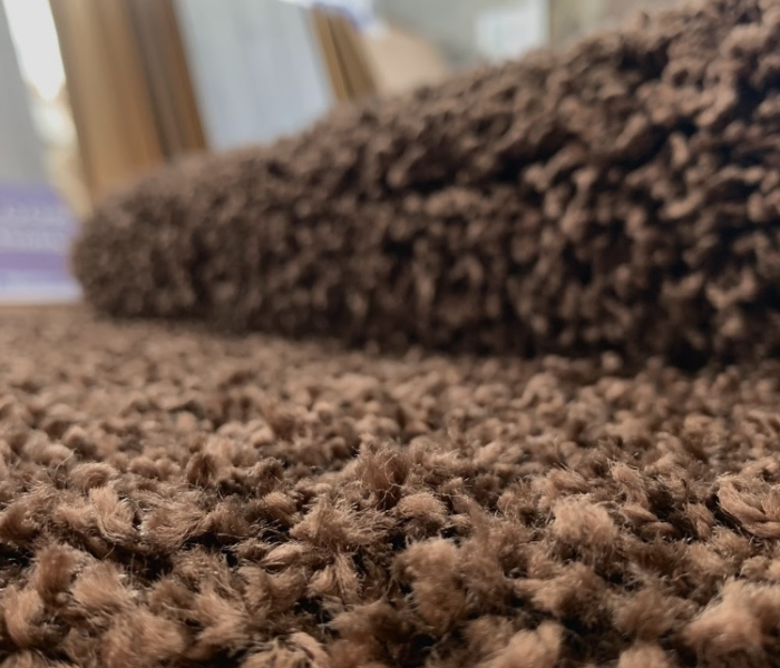 Ковер SHAGGY LOCA BROWN круг 3