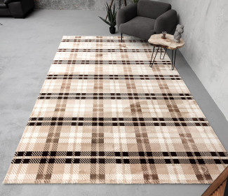 Сучасний килим PESAN W2314 l.bej/brown