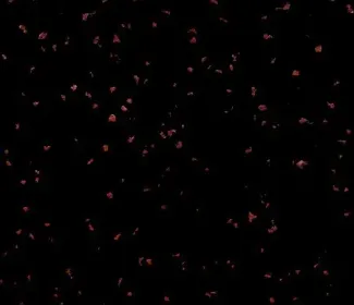 Плитка резиновая COLOR SPRAY 1000х1000 мм ЭПДМ 30% (под заказ)