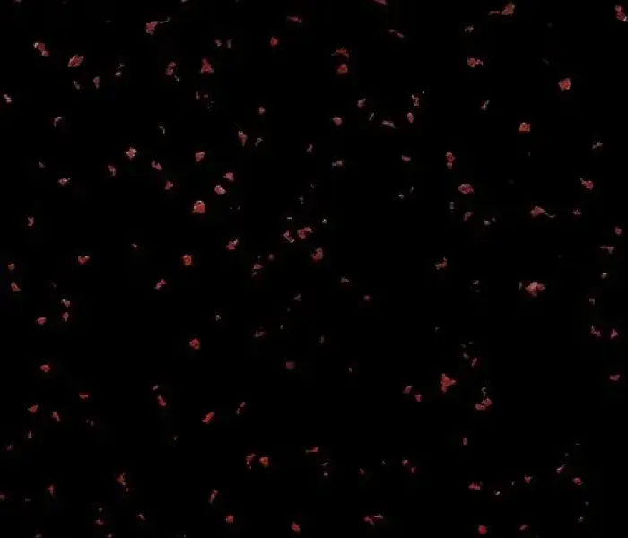 Плитка резиновая COLOR SPRAY 1000х1000 мм ЭПДМ 30% (под заказ)