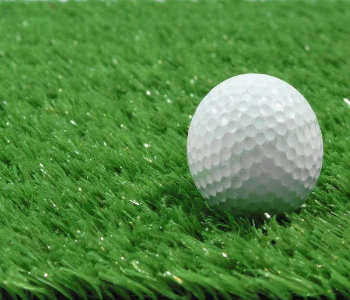 Декоративная трава для улицы ecoGrass SD-15 2