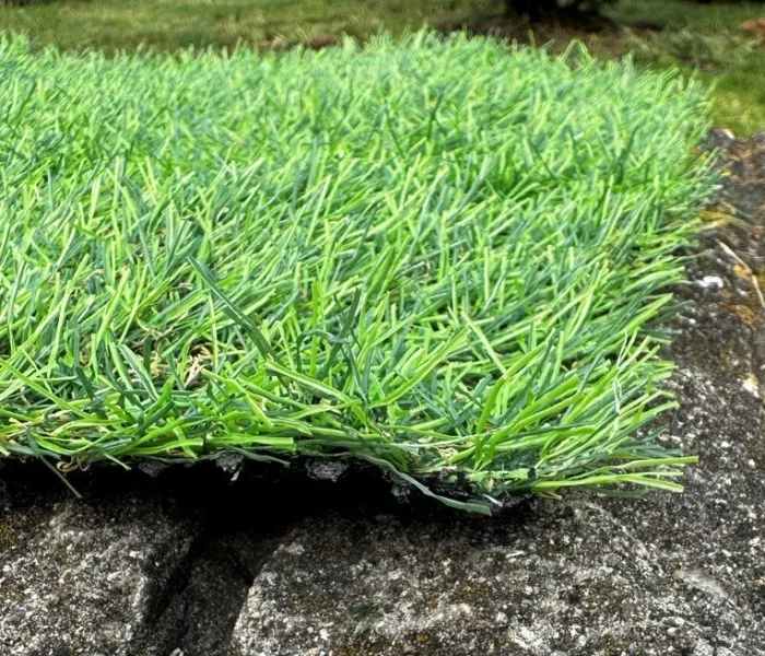 Декоративная трава LANDGRASS 20 3