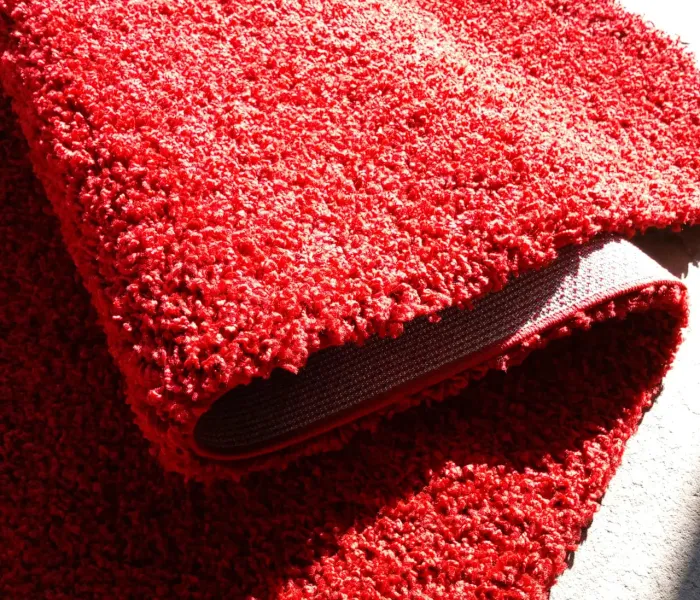 Дорожка SHAGGY GOLD 9000 red 1