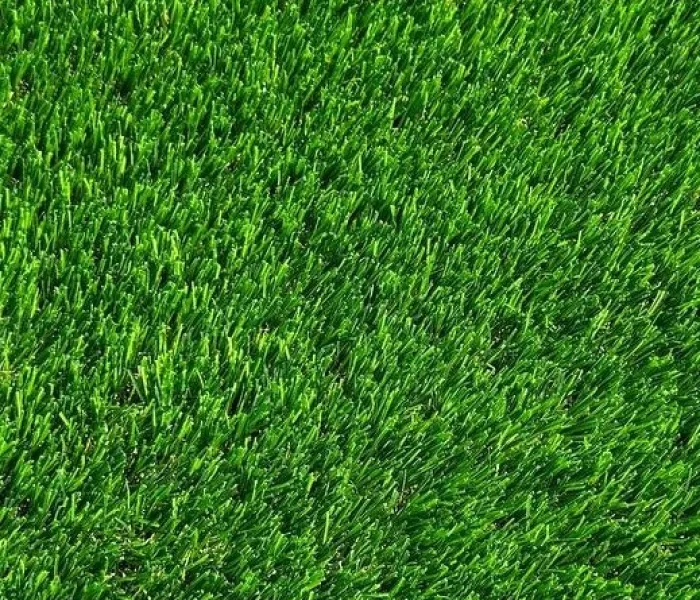 Декоративная трава LANDGRASS 40 2