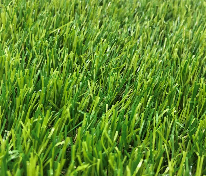 Декоративна трава CCGrass Lissome 45 1