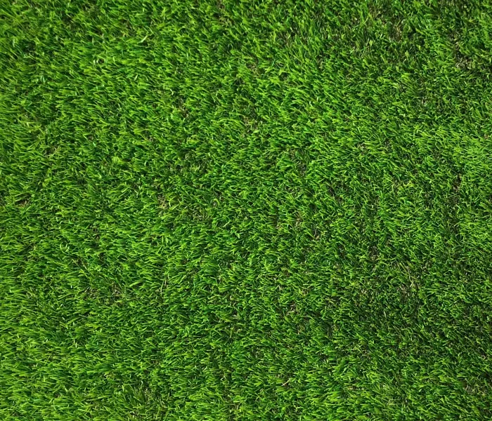 Декоративна трава CCGrass Lissome 45 2