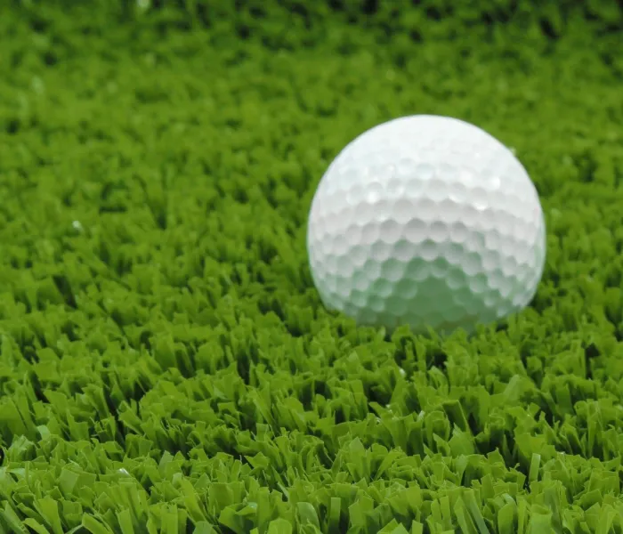 Спортивная трава CCGrass CE20 2