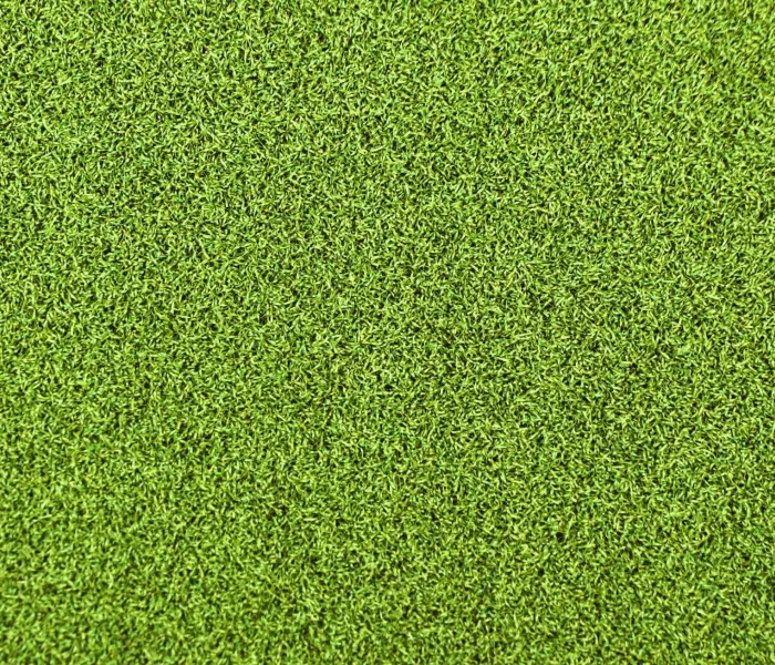 Спортивна трава CCGrass Green E 12 3