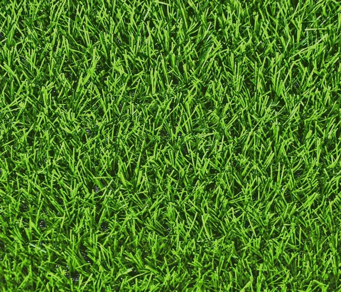 Спортивна трава CCGrass Nature D3-40 7