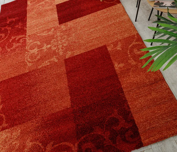 Ворсистий килим WELLNESS 5129 orange 4