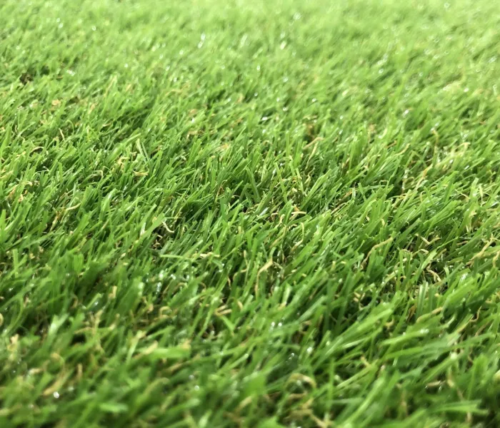 Декоративна трава Grass U-20 1