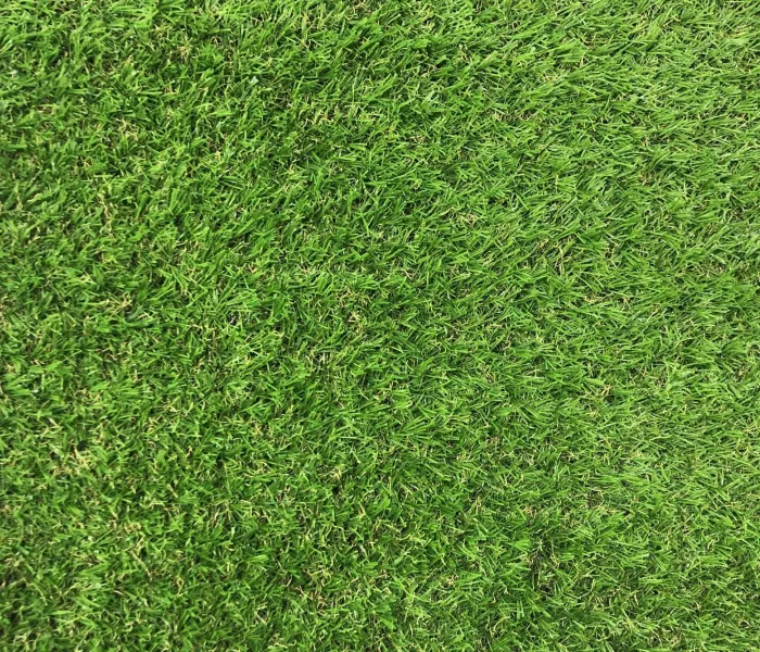 Декоративна трава Grass U-20 4