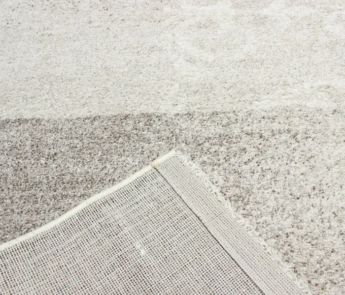 Ворсистий килим WELLNESS 5129 beige 2