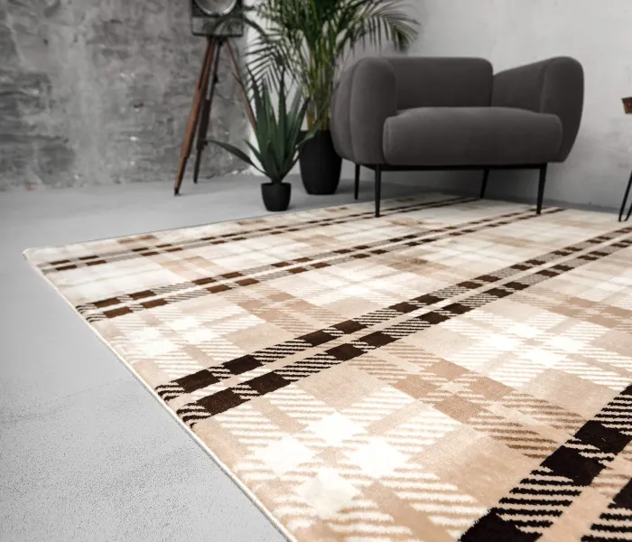 Сучасний килим PESAN W2314 l.bej/brown 2