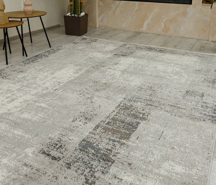 Сучасний килим VERMONT JE58A 3