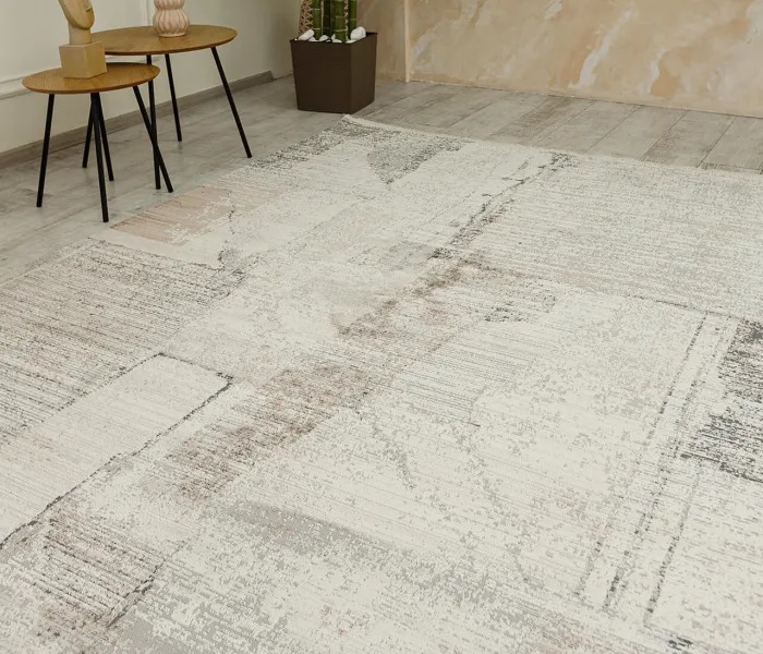 Сучасний килим VERMONT JE60A 13